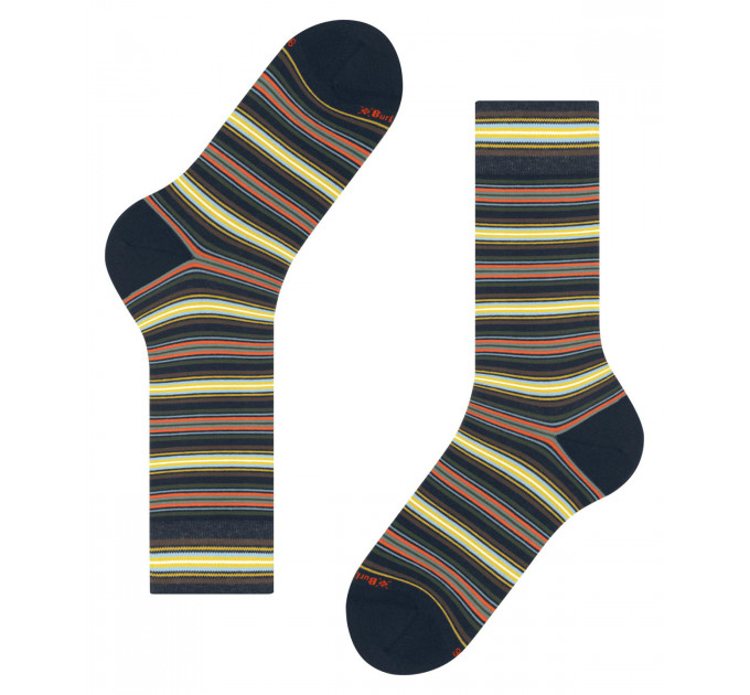 Носки Burlington Multi Stripe Men Socks 21989